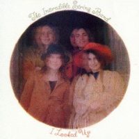 Picture's In A Mirror_The Incredible String Band