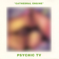 Manouevre Plagues to Stand: Alone in Madness_Psychic TV