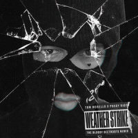 Weather Strike_Tom Morello,P***y Riot,The Bloody Beetroots