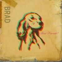 Luxury Car_Brad