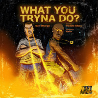 What You Tryna Do?_Izzy Strange,Freddie Gibbs