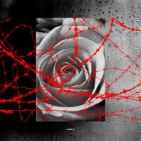 Hurt Is_David Dunn,Brian Bunn,Kyle Jacobs