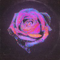 Rose_Inner Wave,Pablo Sotelo,Christian Cornejo,Elijah Trujillo,Luis Portillo