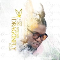 Golden Dragonfly(feat. Linzy Bacbotte)_Elijah Seychelles,Linzy Bacbotte