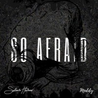 So Afraid(feat. Meddy)_Saleem Hameed,Meddy