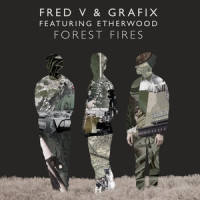 Forest Fires_Fred V & Grafix,Etherwood