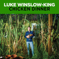 Chicken Dinner_Luke Winslow-King