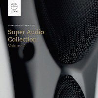 The Gadfly Suite, Op. 97a: Romance (Arr. K. Bryan & C. Hazell for Flute & Orchestra)_Katherine Bryan,Royal Scottish National Orchestra,Jac van Steen,Dmitri Shostakovich