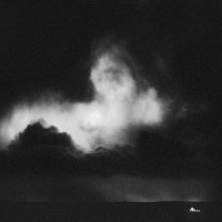 Winter_A Blaze of Feather