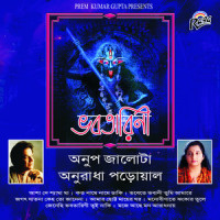 Moje Ache Mon Aradhanay_Anup Jalota