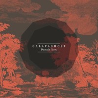 Smile_Galapaghost