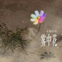 雾中花_音频怪物