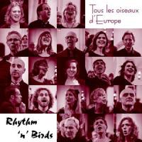 Higher Ground_Tous les oiseaux d"Europe,Stevie Wonder