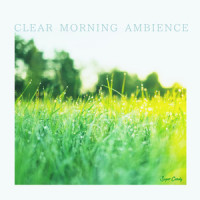 Clear Blue_RELAX WORLD