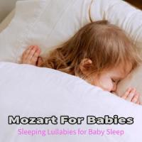 Le Nozze Di Figaro Act II Voi che sapete che cosa e amor_Baby Sleep,Sleeping Baby,Sleeping Baby Band,Wolfgang Amadeus Mozart