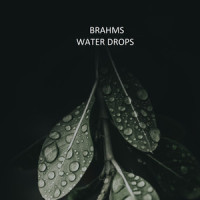 Brahms: Piano Sonata No. 3 in F Minor, Op. 5 - III. Scherzo. Allegro energico_Wilhelm Kempff