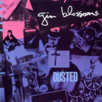 I Can Sleep_Gin Blossoms