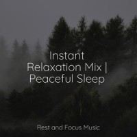 Sounds of Clarity_Namaste Healing Yoga,Sounds of Nature White Noise for Mindfulness Meditation and Relaxation,Sleepy Times