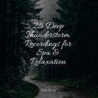 Thunder, Rains_Sounds of Nature White Noise for Mindfulness Meditation and Relaxation,Música para Relaxar Maestro,Pink Noise