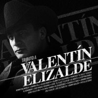 Como Me Duele_Valentin Elizalde,Francisco "El Gallo" Elizalde