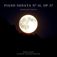 I. Adagio Sostenuto_Braclassic,Ludwig van Beethoven
