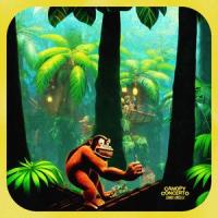 Canopy Concerto_Samuel Kinsella