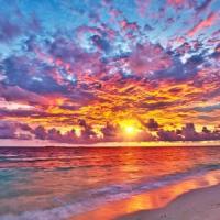 Morning Bliss_FlipzWorld,Kyle Jenkins