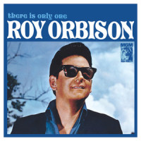 Sugar And Honey_Roy Orbison