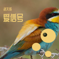 爱信号_洛天依
