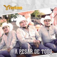 A Pesar de Todo_Yeverino Brothers,Nelson Ned