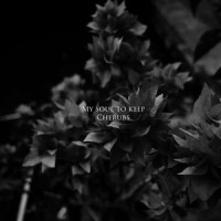 My Soul to Keep_Cherubs