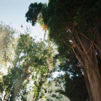 Close to See(feat. Vixxle)_Cam Meekins,Vixxle