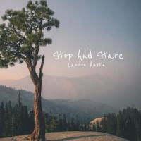 Stop and Stare_Landon Austin