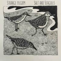 Salt and Seagulls_Strange Pilgrim,Kelly McFarling
