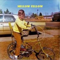 Best Friend_mellow fellow