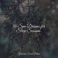 The Keys Sounded Softly_Binaural Beats Isochronic Tones Lab,Sleepy Times,Reiki Music