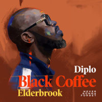 Never Gonna Forget_Diplo,Elderbrook,Black Coffee