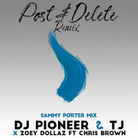Post & Delete Remix_DJ Pioneer,Zoey Dollaz,TJ,Chris Brown