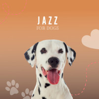 Cat Vibes_Piano Peace,Pet Music Therapy,Pets Love Music