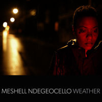 Chelsea Hotel_MeShell Ndegeocello