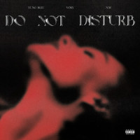 Do Not Disturb_Vory,NAV,BLEU