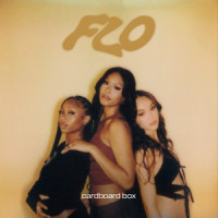 Cardboard Box_FLO