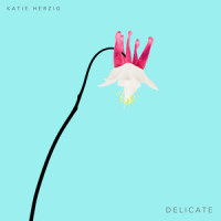 Strangers(Delicate Version)_Katie Herzig
