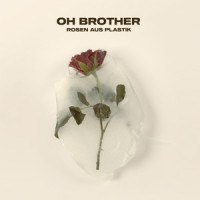 Rosen aus Plastik_Oh Brother