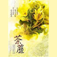 晴·殇_烟花Show,梦岚