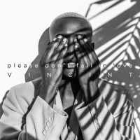 Please Don't Fall in Love_VINCINT,Vincent Cannady,Justin Slaven,Justin Breit