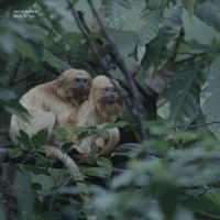 Back to You_Jacob Bellens