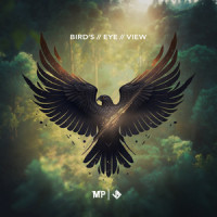 Bird's Eye View_Matthew Parker,Jacob Stanifer