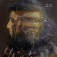 Weird Dream_Carina Round