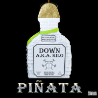 One Hood(feat. 2Pac)_Down A.K.A. Kilo